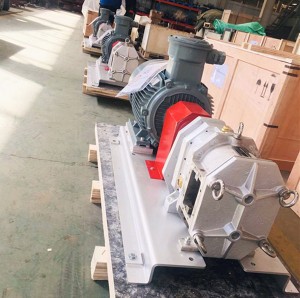 Wholesale ODM Cost-Efficient Electric Rotary Vane Vacuum Pump for Metal Stress Relieving