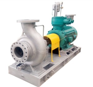 Factory Free sample High Quality API 610 Oh1 Horizontal Chemical Process Centrifugal Pump Manufacturer