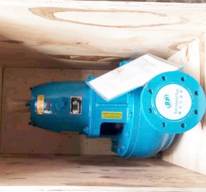 Horizontal Non-Clogging Centrifugal BDKWPK Sewage Pump