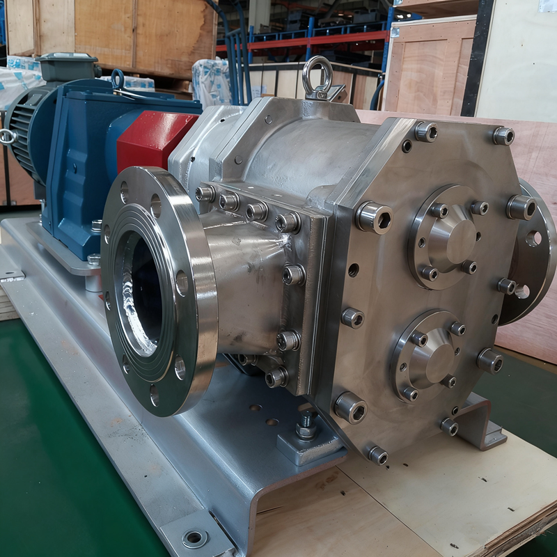 SS316 rotary pump