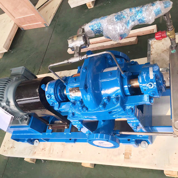 XSR DOUBLE SUCTION WATER PUMP_副本