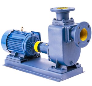 100% Original Factory Electric Stainless Steel Self-Priming Casting Iron Jet Centrifugal High Pressure Water Pump