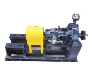 SBX low flow pump