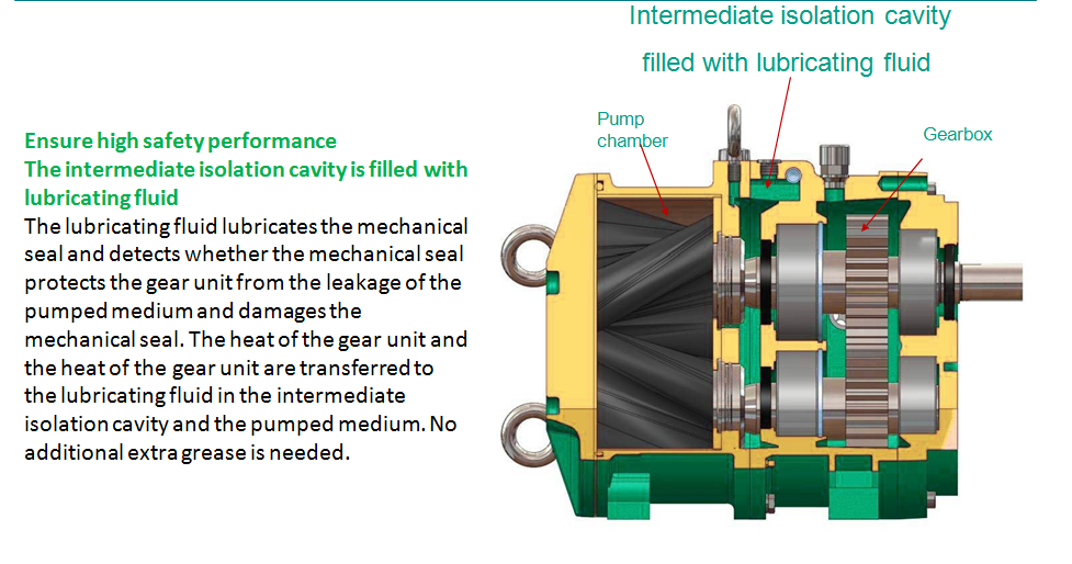 lobe pump 1