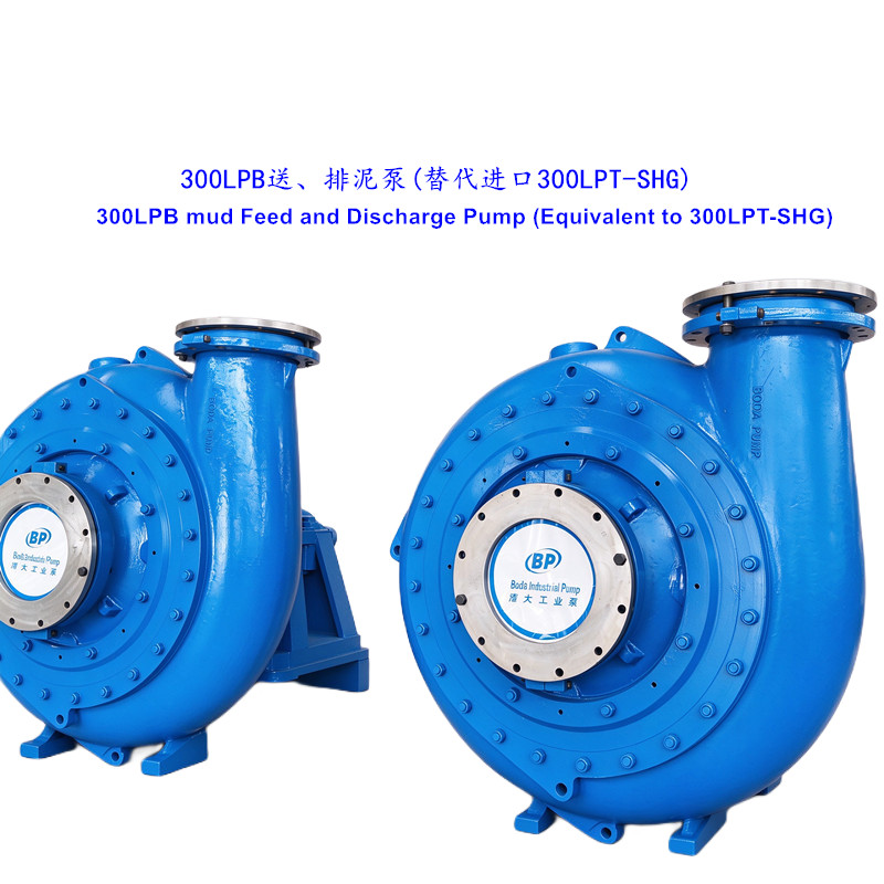 shg300lpt 两台泵3d渲染_副本_白底_副本