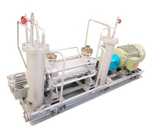 API610 Horizontal Multistage Chemical Pump