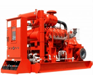 fire protection and emergency diesel engine pump