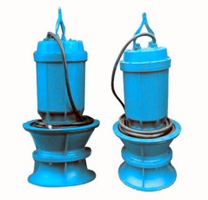 Submersible axial flow pump