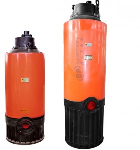 China Wholesale Sewage Pumping Service Company Products - BQS/NS Explosion-proof Waste Water  – Boda